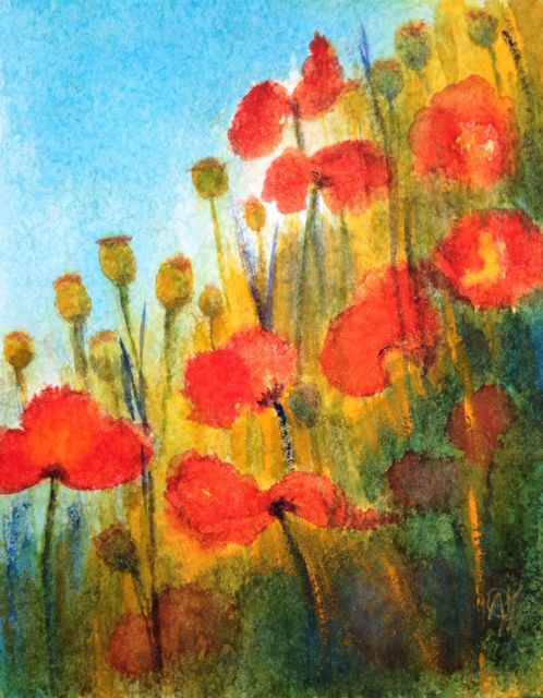 Klaprozen in aquarel (verkocht)