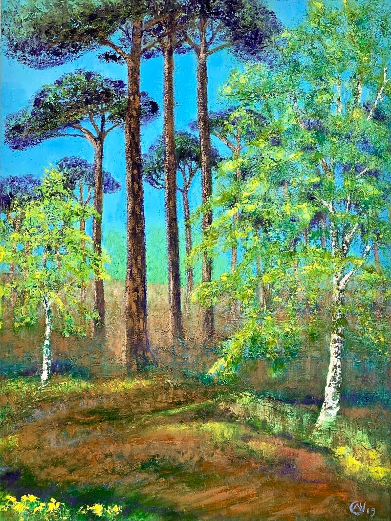 Parasoldennen en berken, olieverf op doek, 80x60cm