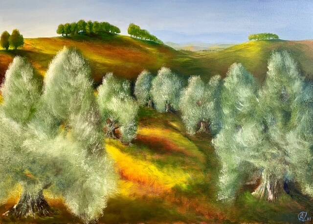 Olijfbomen, olieverf op doek, 50x70cm