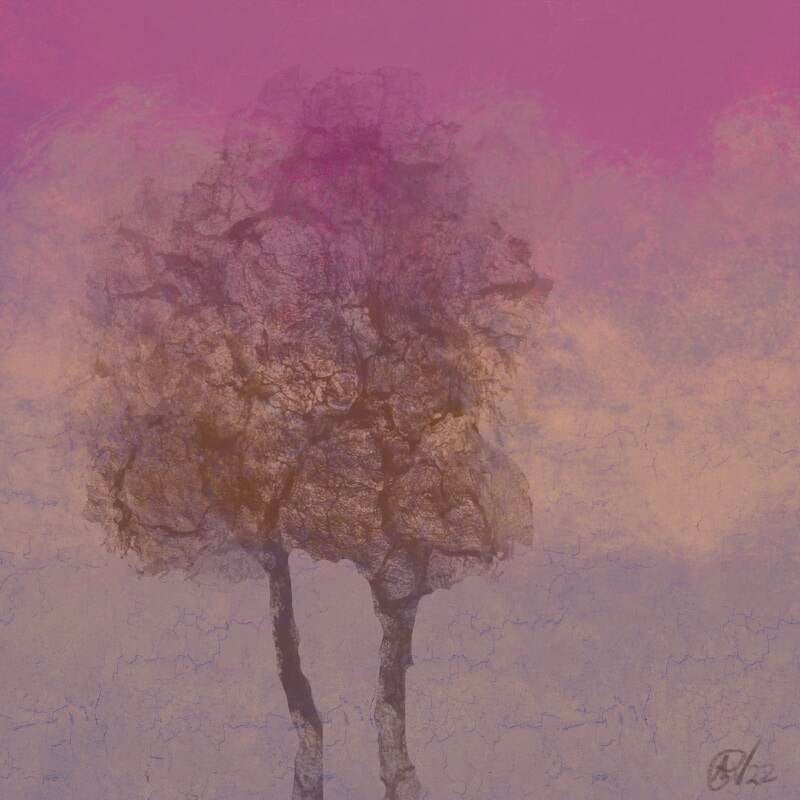 Aan elkaar vast gegroeid, digitale kunst, 30x30cm
