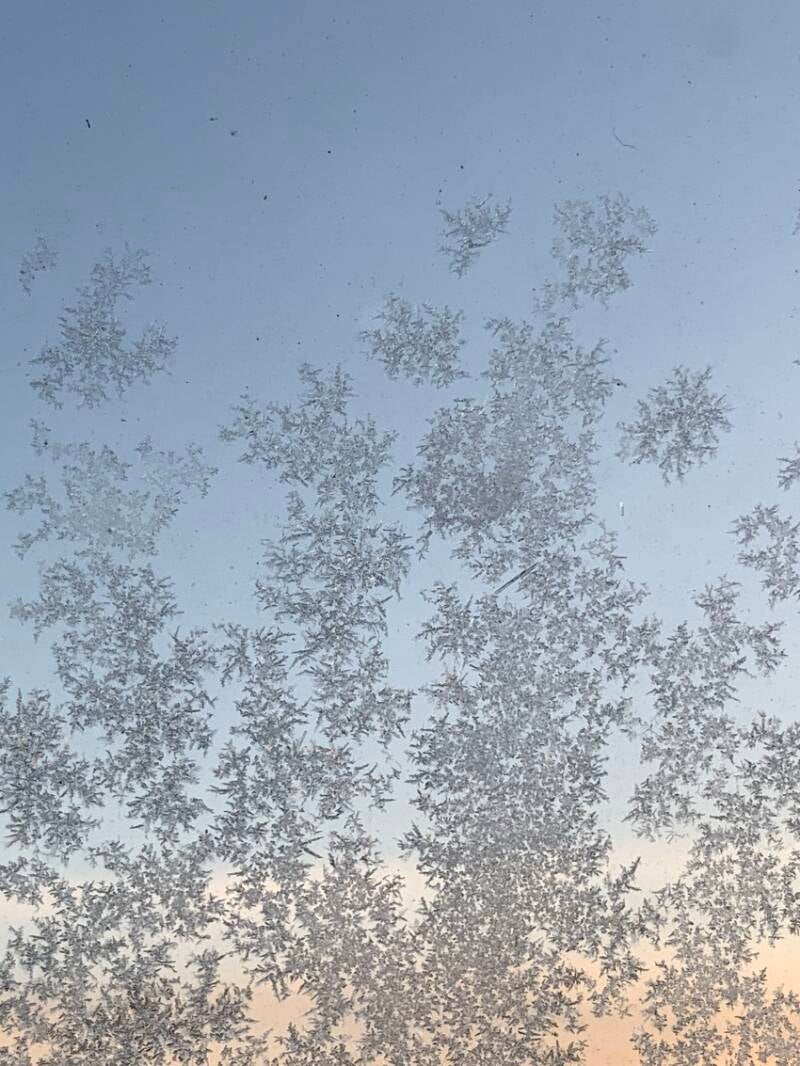 Bloemen op de ramen (ijskristallen)