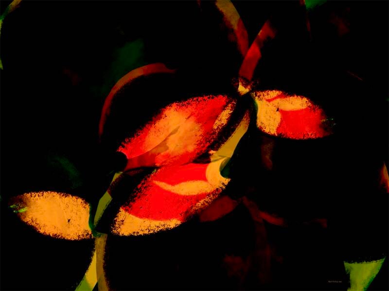 The Complex Nature of Nature II