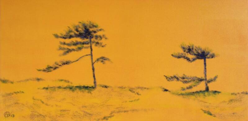 Dennen op een duintop, olieverf op doek, 40x80cm (verkocht)