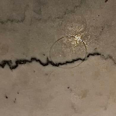 Snapshot van marmeren tafeltje