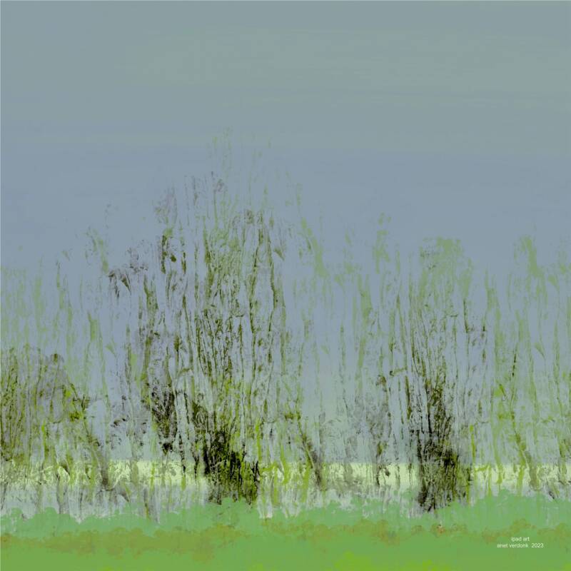 Het eerste groen op de knotwilgen, digitale kunst, 30x30cm