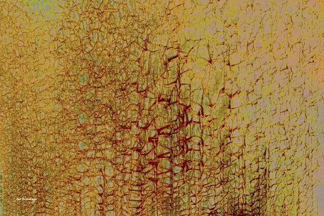 Groei III, digitale kunst, 60x90cm