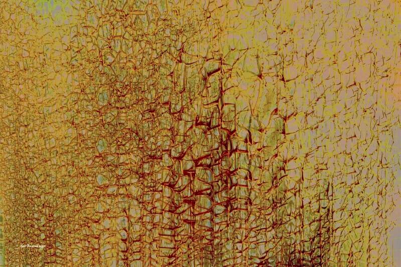 Groei III, digitale kunst, 60x90cm