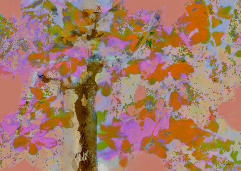 Herfsttooi, digitale kunst, 42x59,4cm (A2)