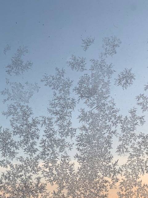 Bloemen op de ramen (ijskristallen)