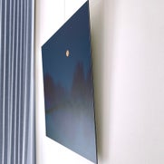 img_9507-standard.jpg
