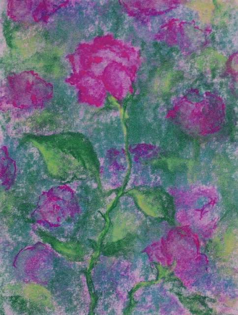 Roos I (2013) kleurpotlood op papier 24x18cm ingelijst 40x30cm (verkocht)