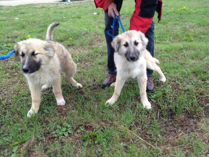 2012 onderweg naar NL