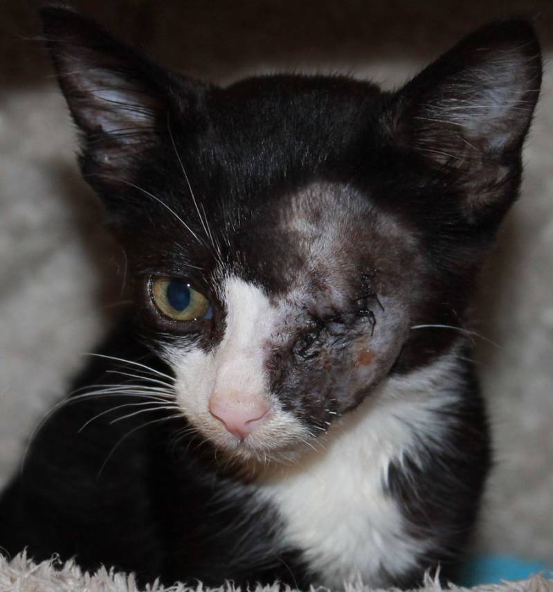 1-8-2015 na operatie 