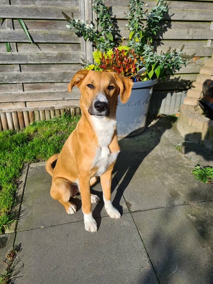 251086740_362187932318178_33668762021