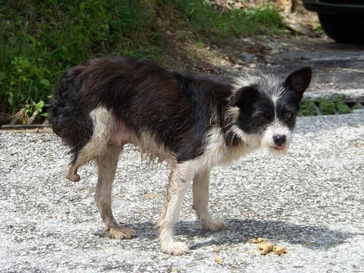 Lucy juni 2010 moeder van Cindy