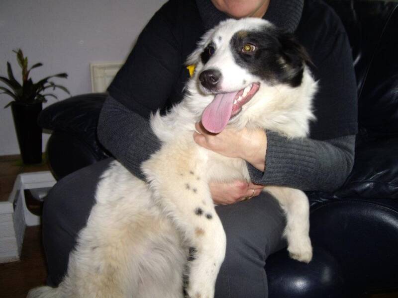 2012 in the Netherlands