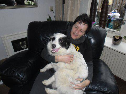 2012 in the Netherlands