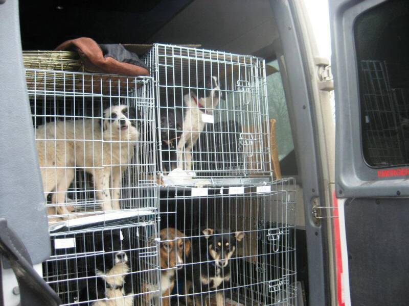 2012 in the Netherlands