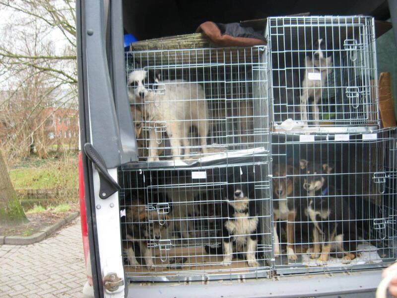 2012 in the Netherlands