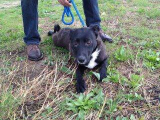 2012 onderweg naar Nederland