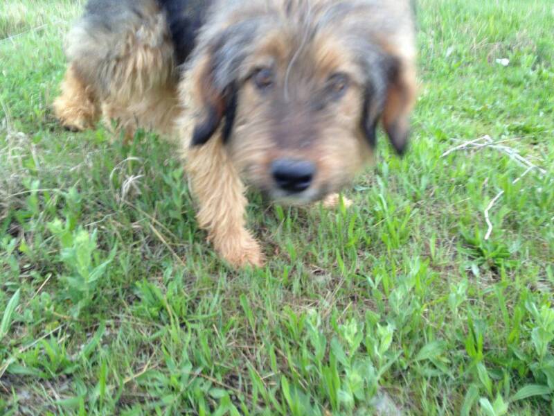 19 april 2011 op transport