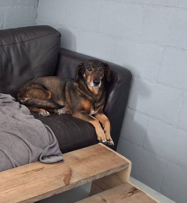 2026