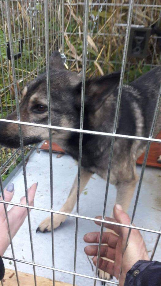 8 dec 2019 missing and home