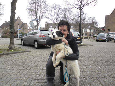 2012 in the Netherlands