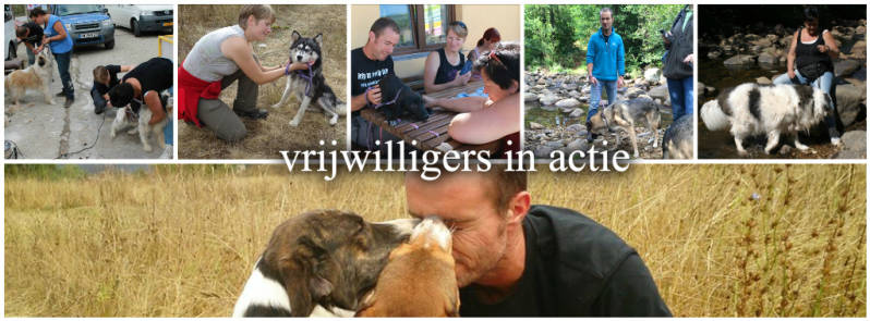 vrijwilligers RSDR teamNederland Ineke, Hanneke&amp; Olaf