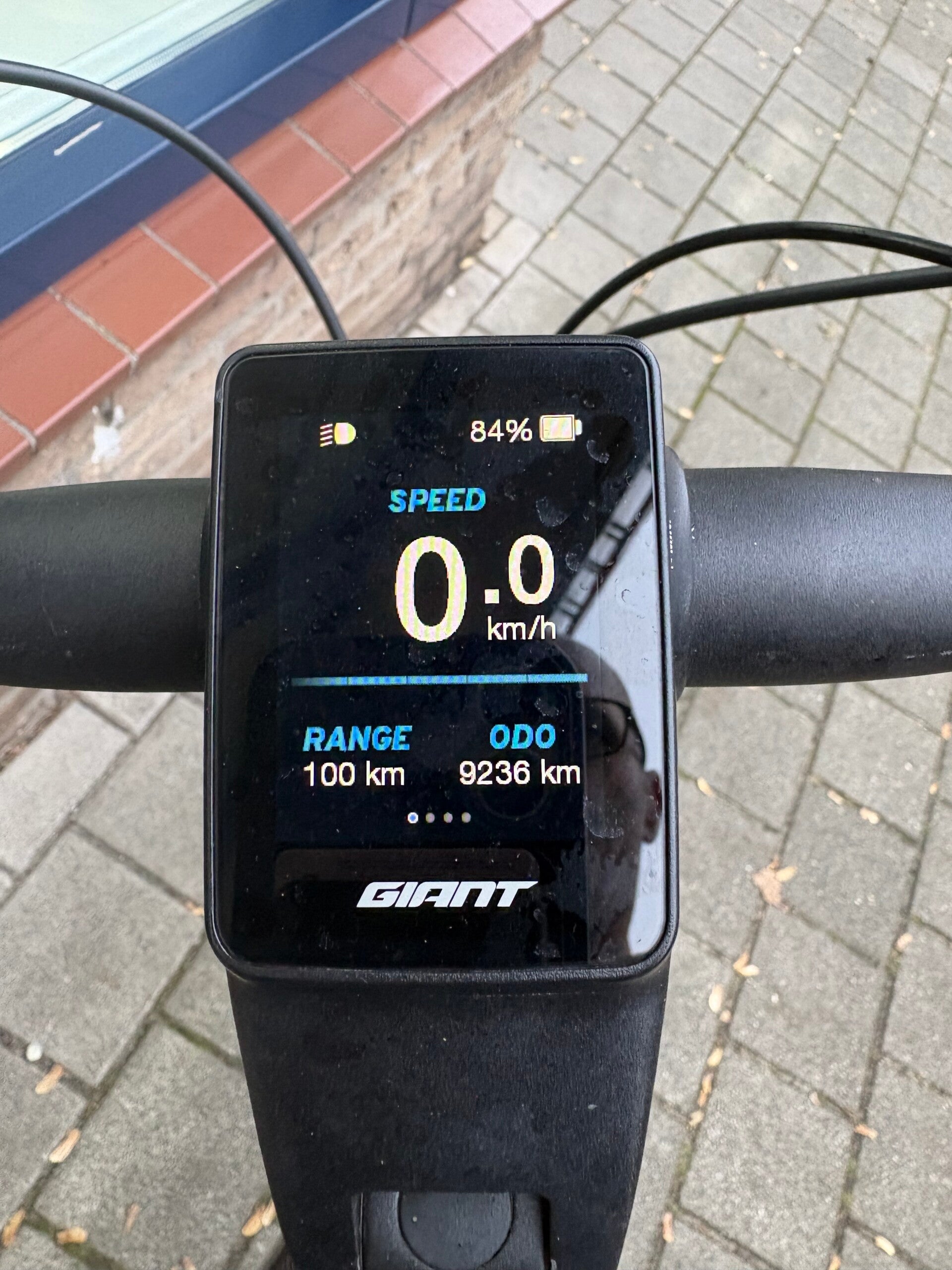 Experts delen hun kennis over