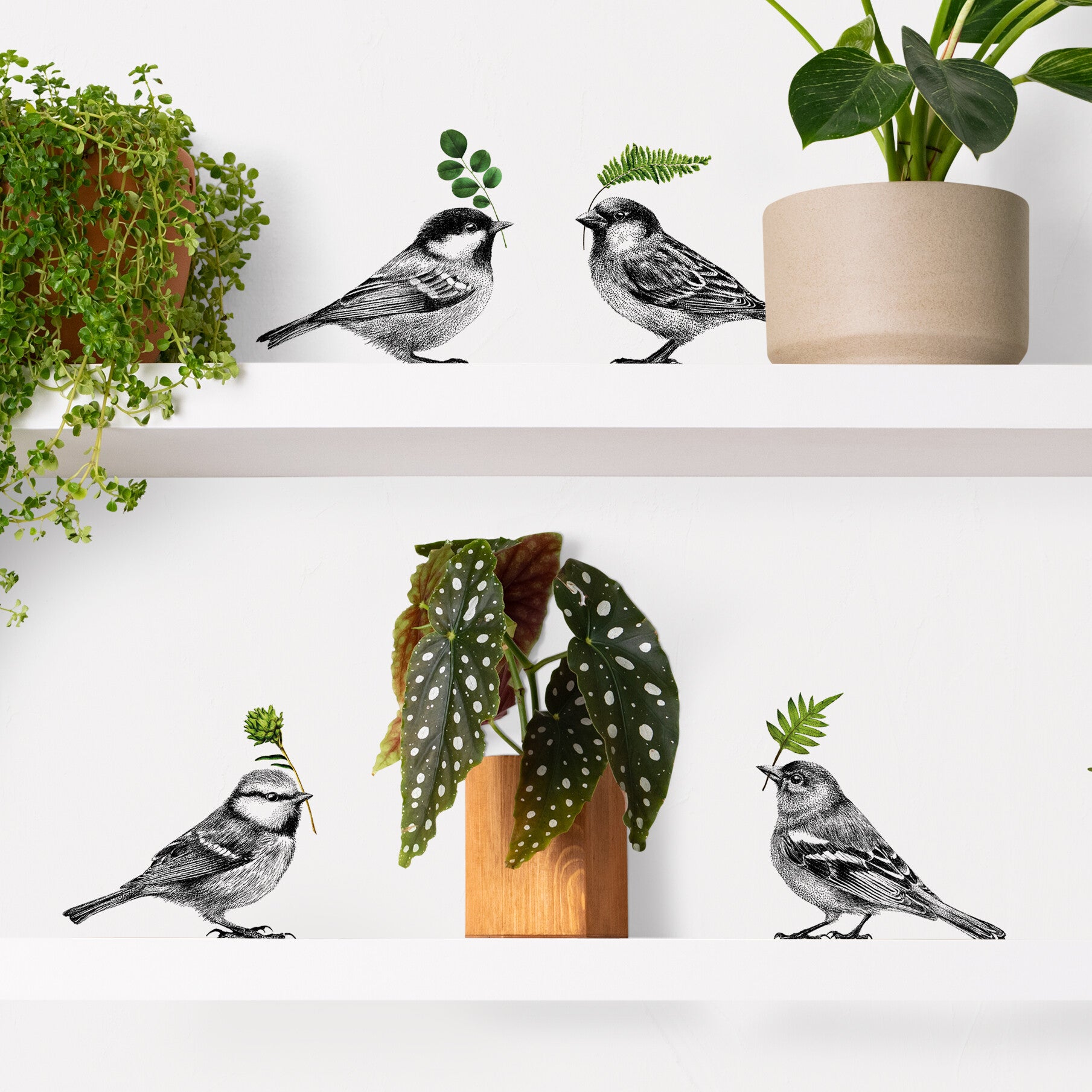 Stickerset vogels