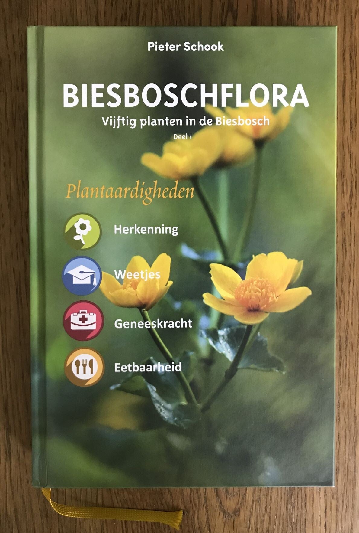 'Een kunstenaar word je niet, dat ben je bij je geboorte'  Het beeldhouwen is voor Rieke van der Stoep een sublieme uitingsvorm van wat zij innerlijk ervaart. Hoewel zij op latere leeftijd echt koos voor de kunstenaar in haar, heeft zij zich van kinds af 