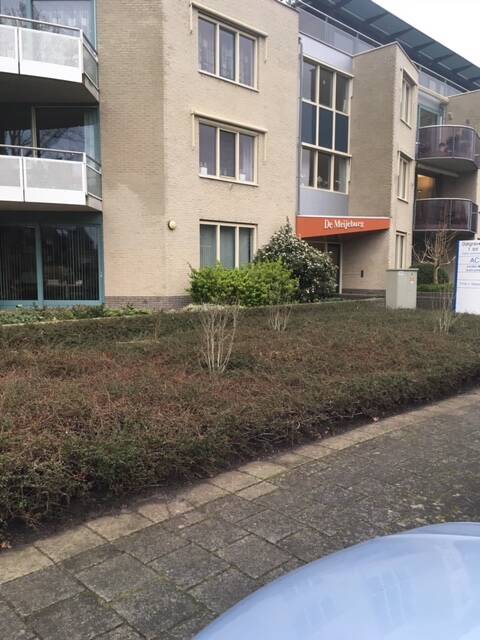 Mieke van Batum Haptonomie en Haptotherapie Leiderdorp. |  Dijkgravenlaan 9 (gebouw De Meijeburg) 2352 RN  Leiderdorp