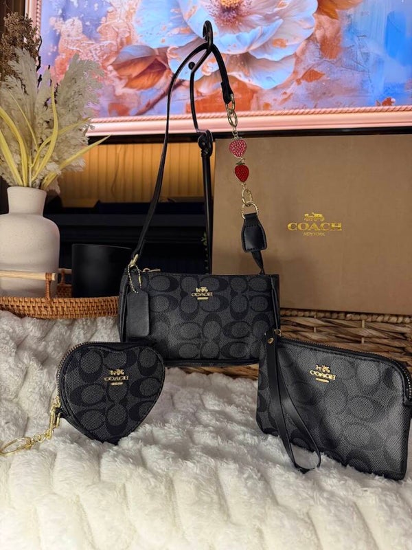 COACH BLACK SIGNATURE SET