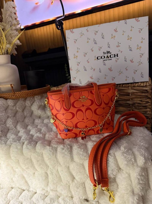 COACH SIGNATURE MINI TOTE