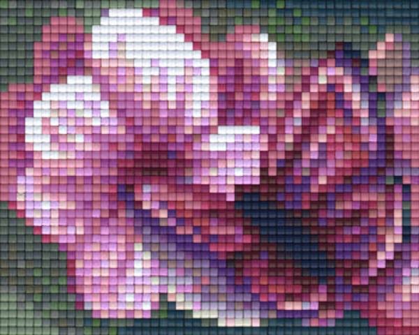 Kit 1 Plaque Fleurs Papillons