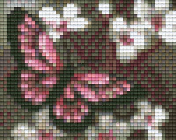 Kit 1 Plaque Fleurs Papillons