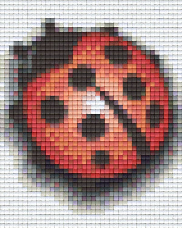 Kit 1 Plaque Coccinelle