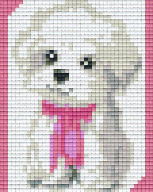 Kit 1 Plaque Chien