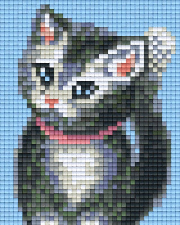 Kit 1 Plaque Chat
