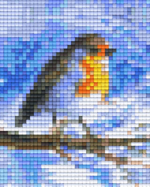 Kit 1 Plaque Oiseau