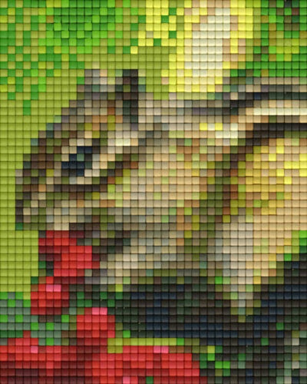 Kit 1 Plaque Ecureuil