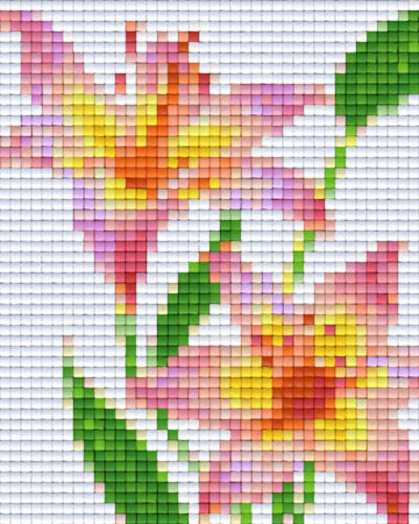 Kit 1 Plaque Fleurs