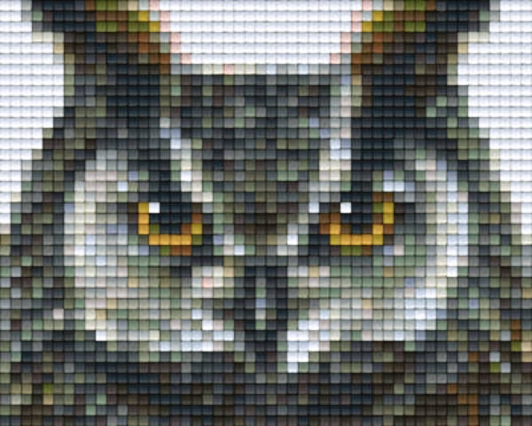 Kit 1 Plaque Hibou