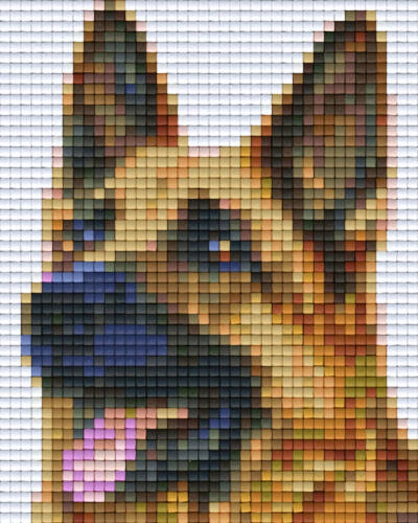 Kit 1 Plaque Chien