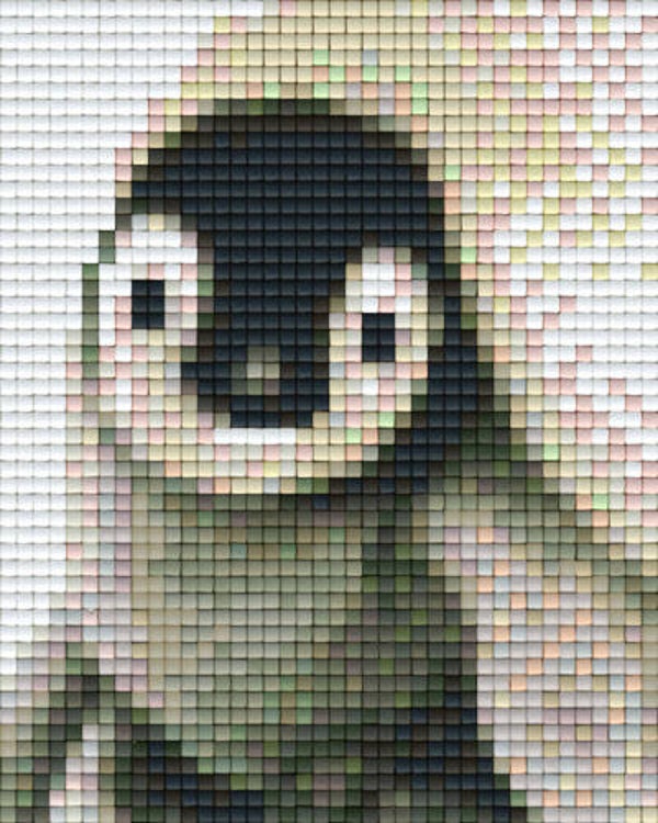 Kit 1 Plaque Pingouin