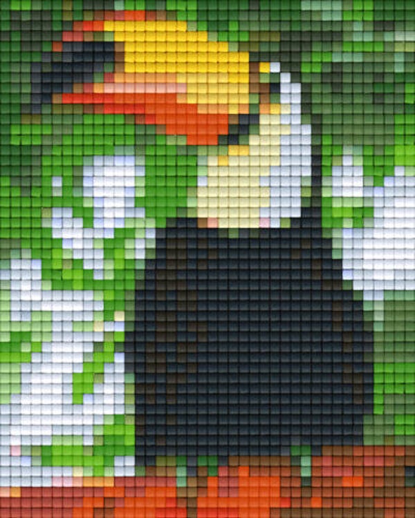 Kit 1 Plaque Toucan