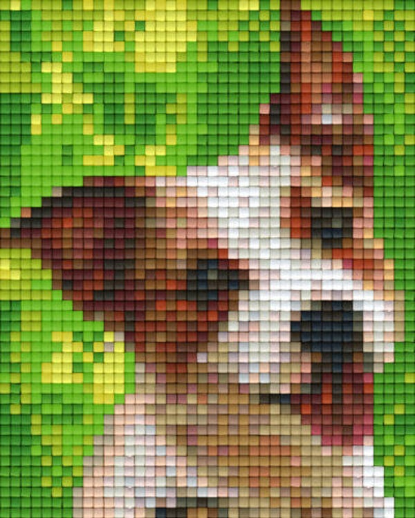 Kit 1 Plaque Chien