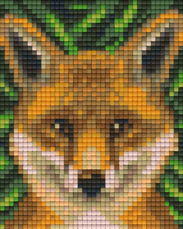 Kit 1 Plaque Renard