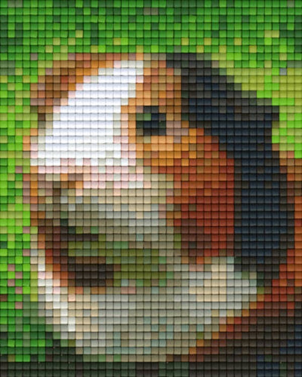 Kit 1 Plaque Hamster